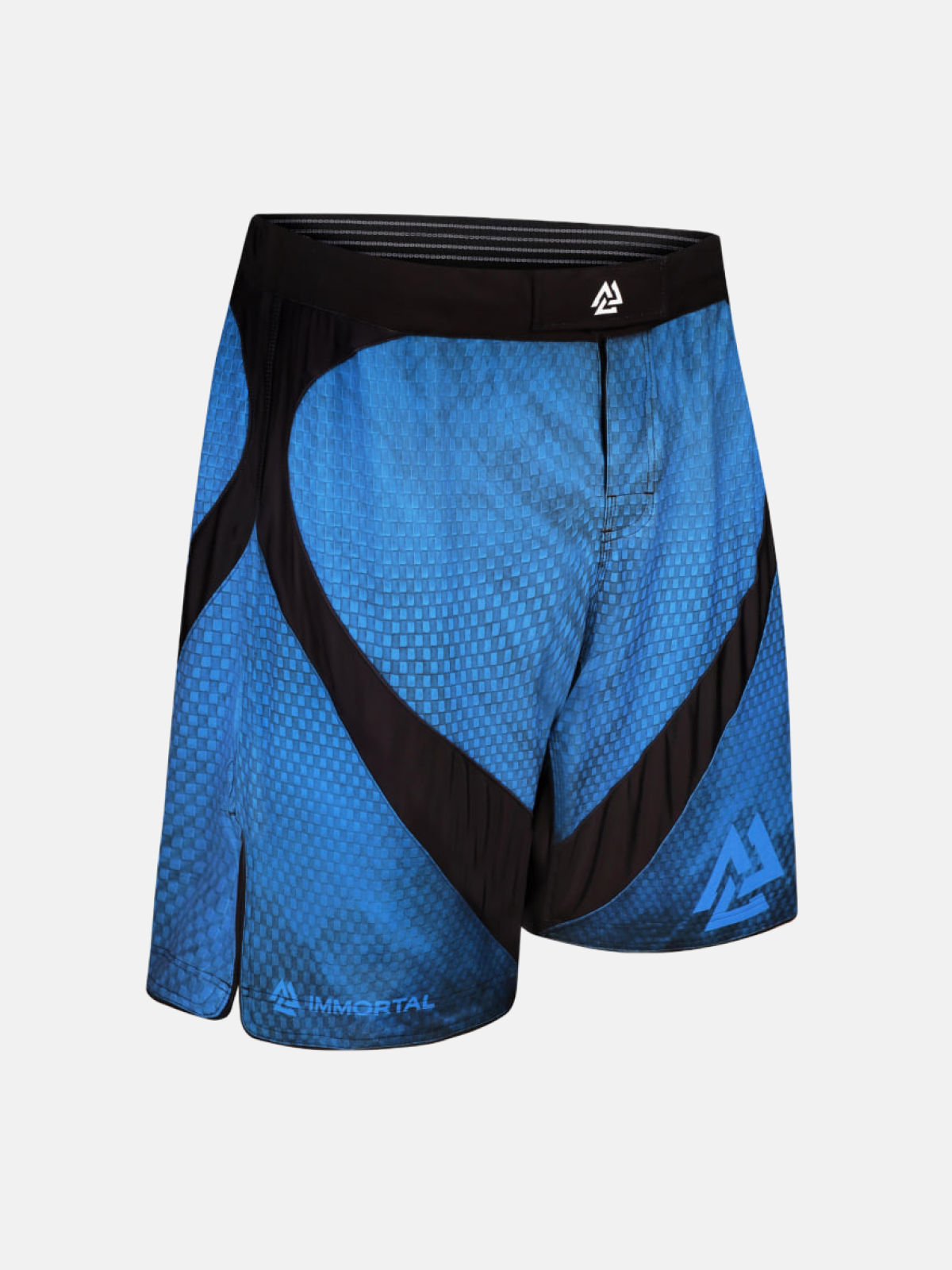 Peresvit Immortal 2.0 Fightshorts Dark Marine Redesigned, Photo № 3